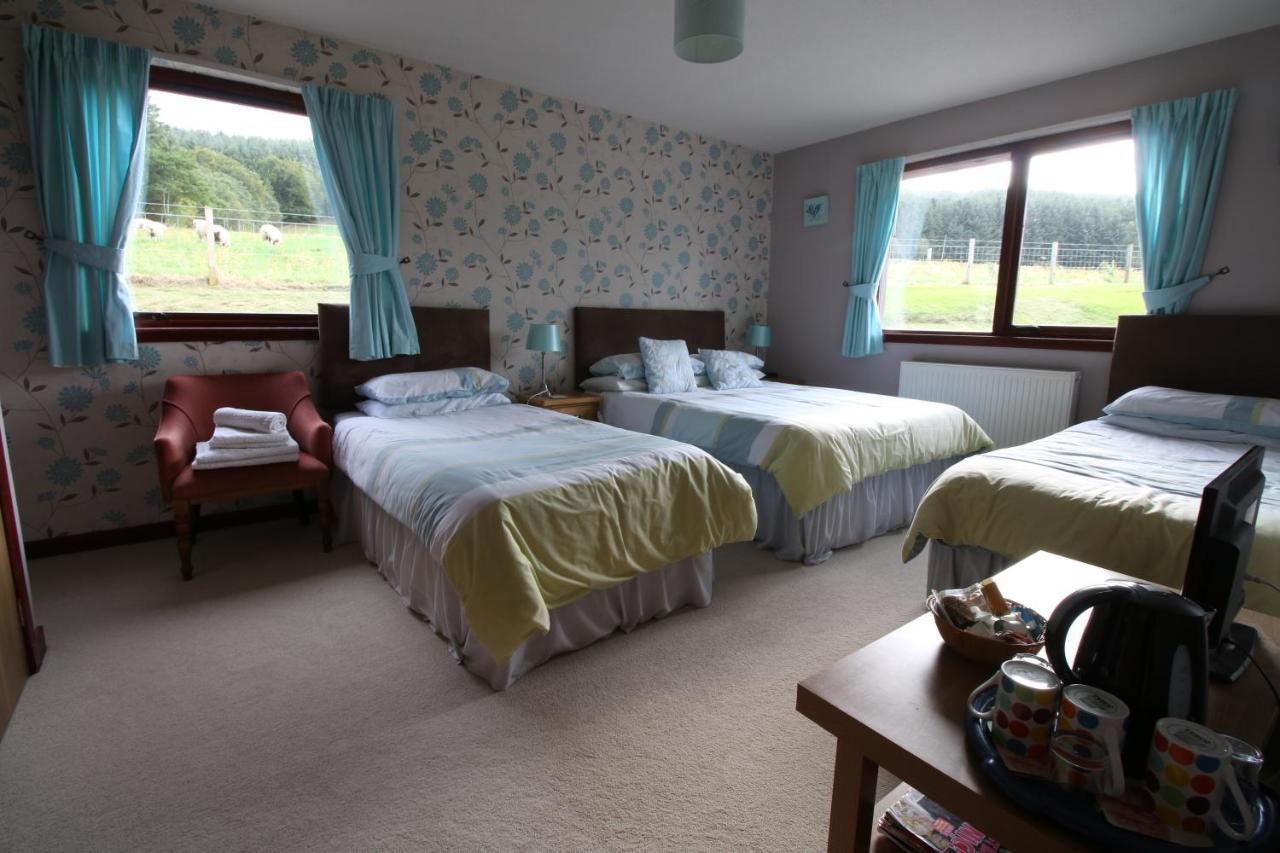 Mapleview Bed And Breakfast Corse  エクステリア 写真