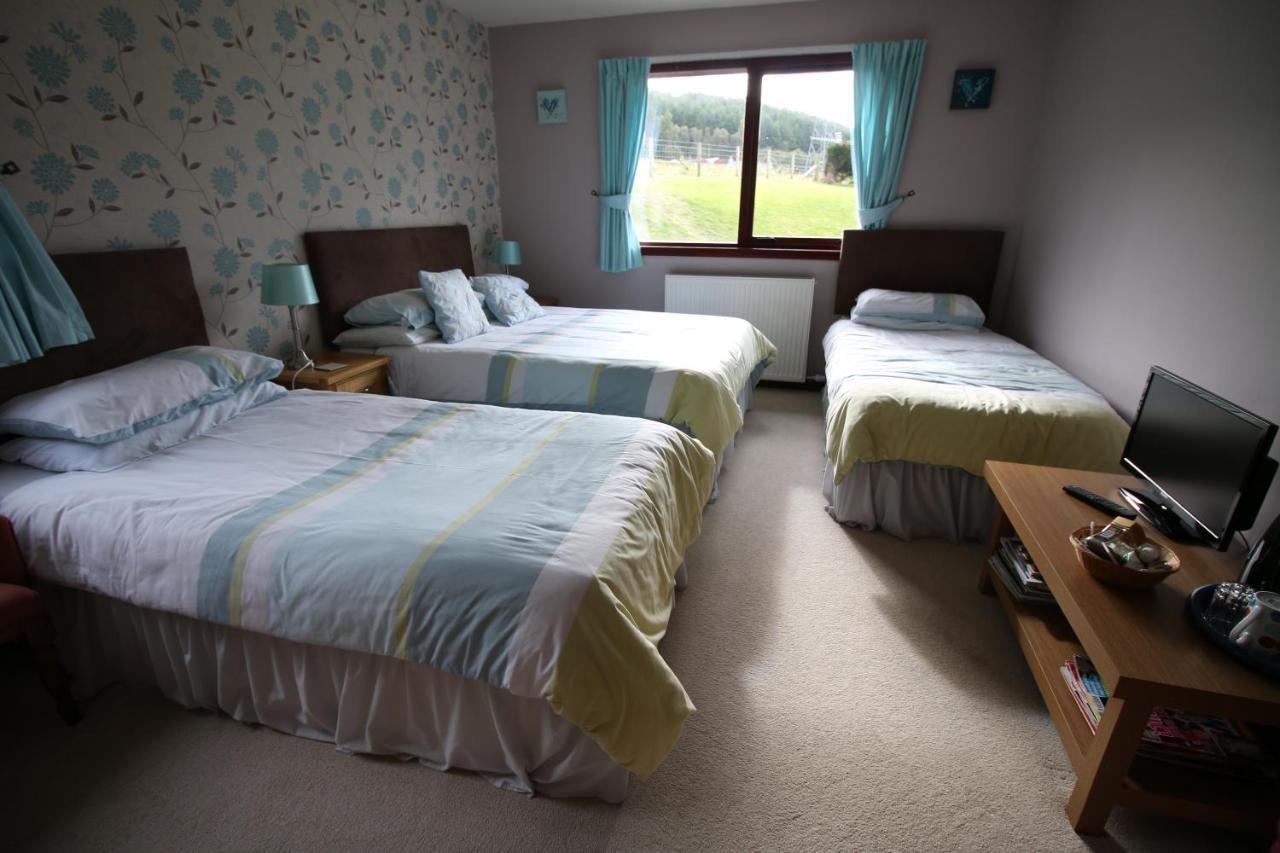 Mapleview Bed And Breakfast Corse  エクステリア 写真